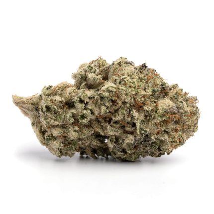 Gelato Cake