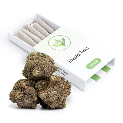 Bluefin Tuna | Pre-Rolled 5 Pack | 3.5g