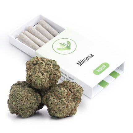 Mimosa | Pre-Rolled 5 Pack | 3.5g