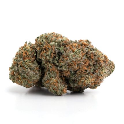 Jack Frost