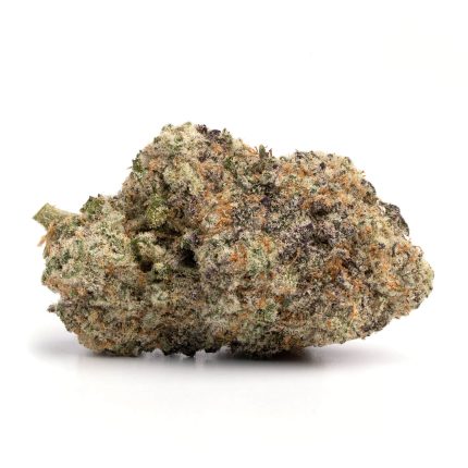 King Louis XIII