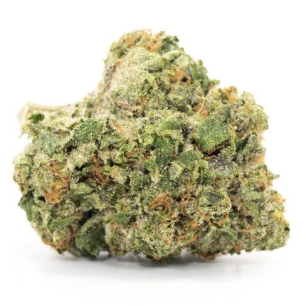 OG Glue Sniffer