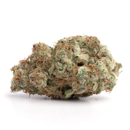 Permafrost