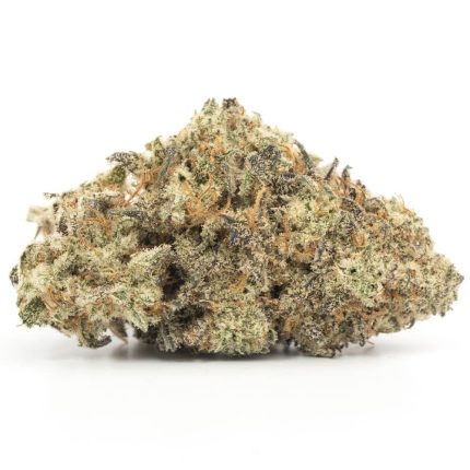 Thin Mint Girl Scout Cookies