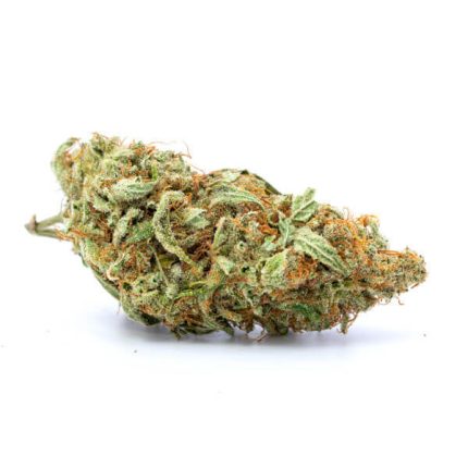 White Lavender