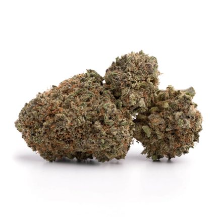 Wifi OG